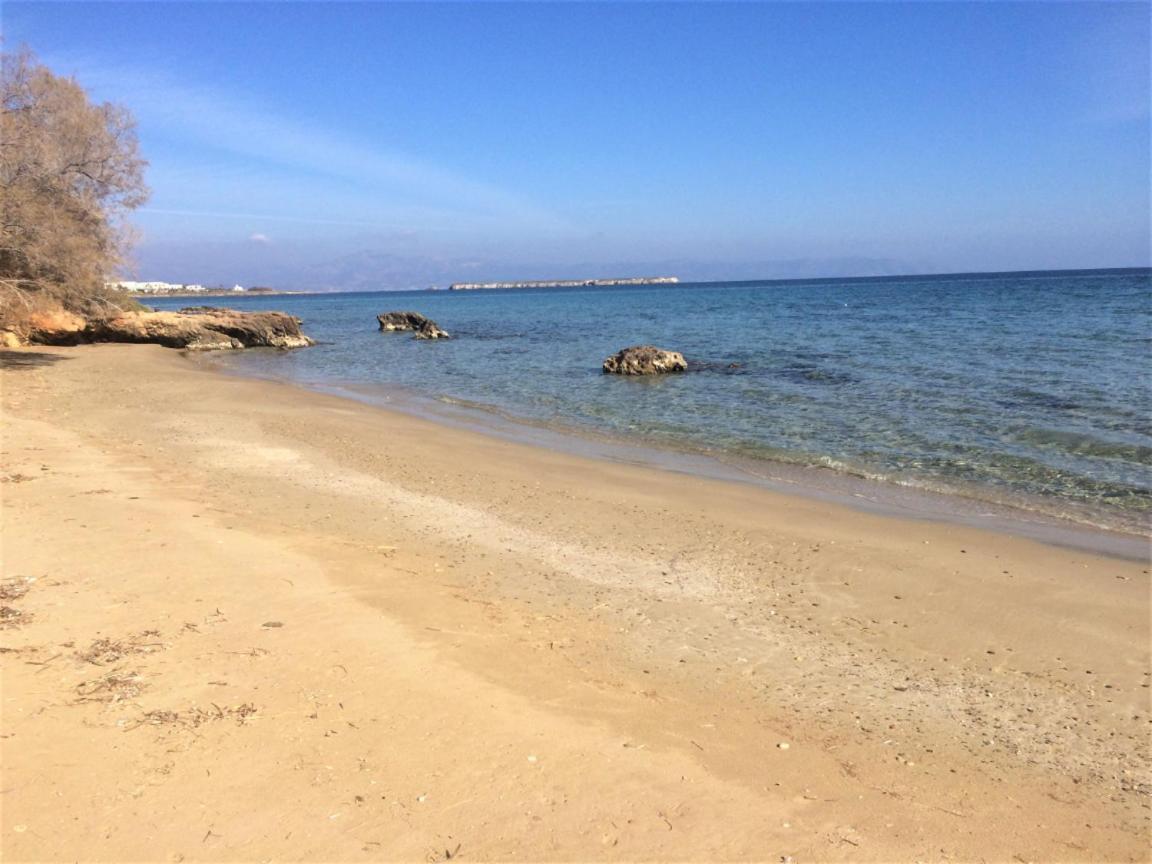 חריסי אקטי Tonia Apartments Paros מראה חיצוני תמונה